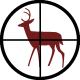 Deer silhouette in scope sight