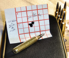 target shot by custom Remington 700